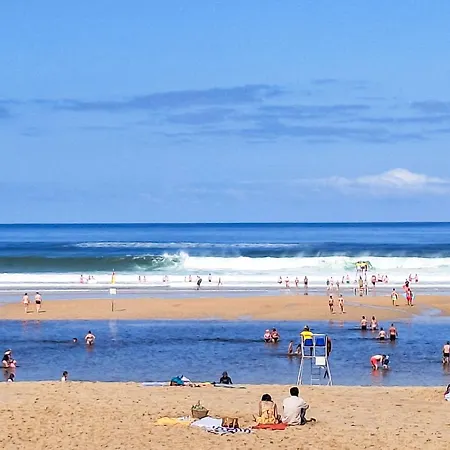 Holiday Les Bouvreuils By Interhome * Mimizan